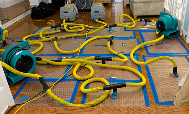Professional Sewage Cleanup technician working in Boonton, NJ